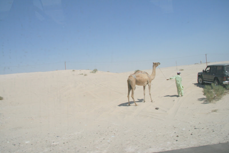 IMG_3082.jpg