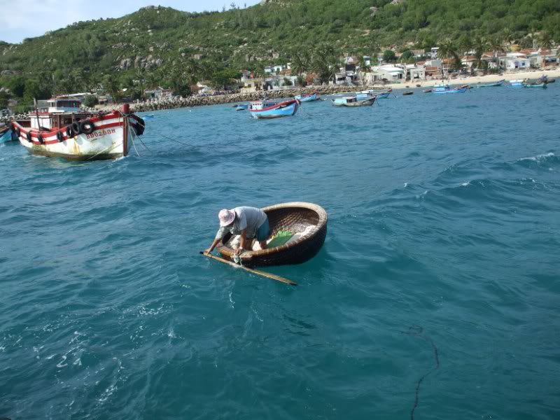 DSCF7907800x600.jpg