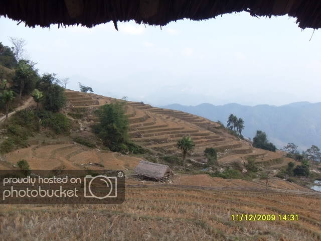 SDC12073.jpg