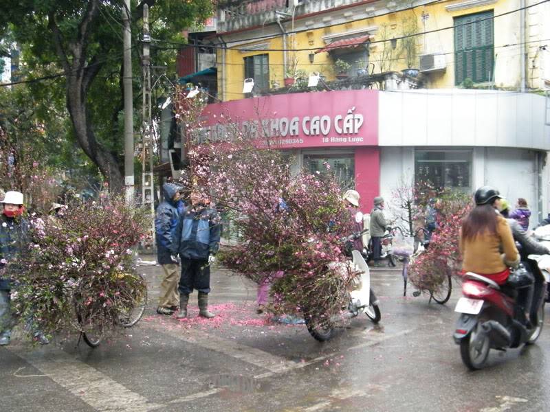 DSCF0515.jpg