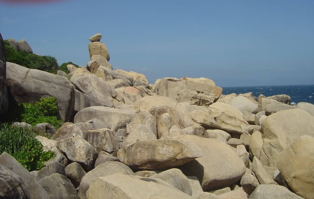 DSC00068.jpg