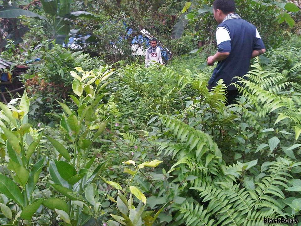 IMG-20120923-00183.jpg