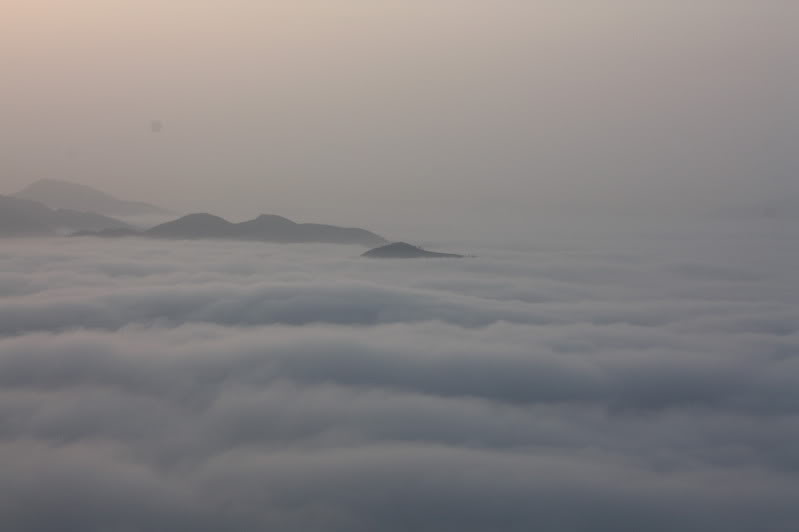 IMG_4480.jpg