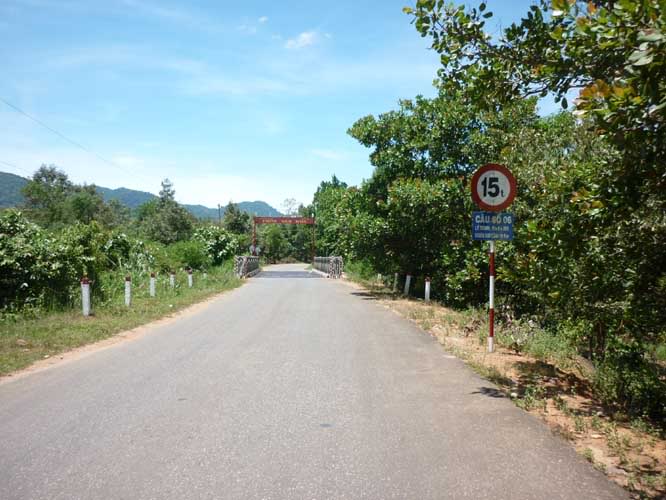 P1310335.jpg