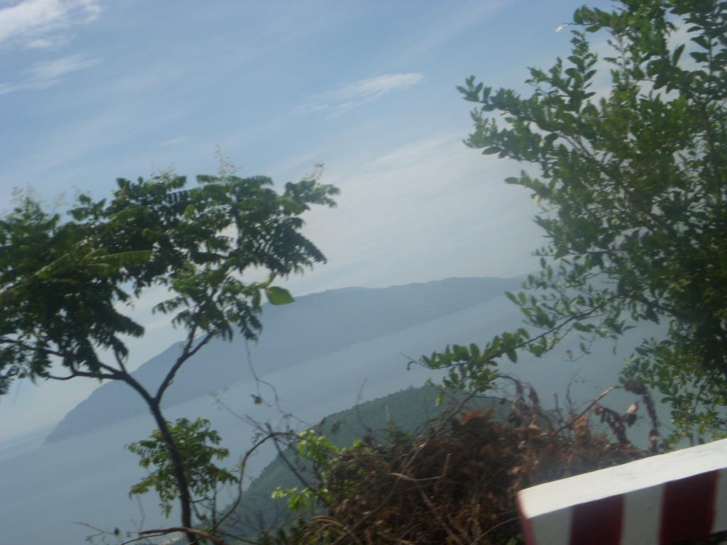 DSCN4564_zpsb3a9d829.jpg