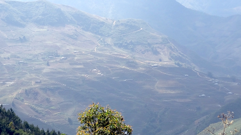 DSC09293_zpsdeab5ffc.jpg