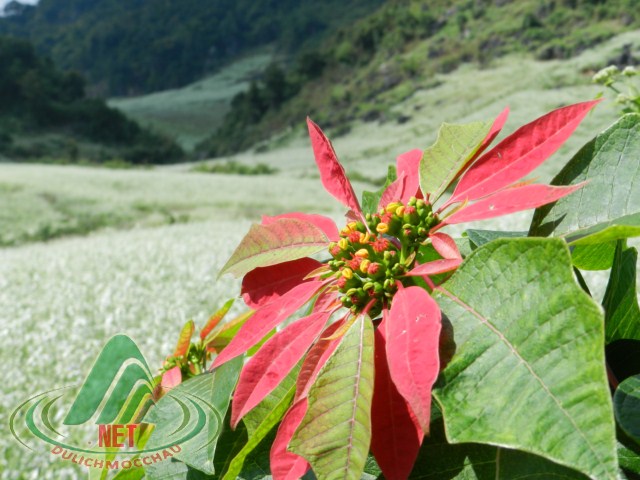 dscn4814-640x480.jpg