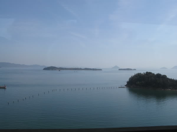 IMG_1278_resize.jpg