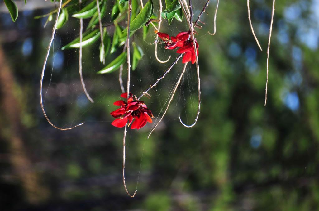 DSC_6984_zps2f5fa72e.jpg