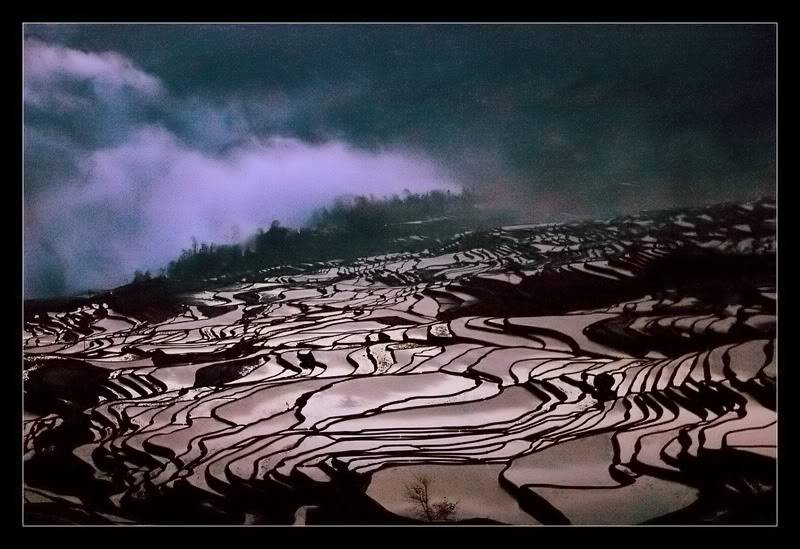 crw_5315_yuanyang.jpg