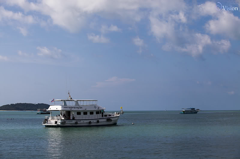 IMG_6111.jpg