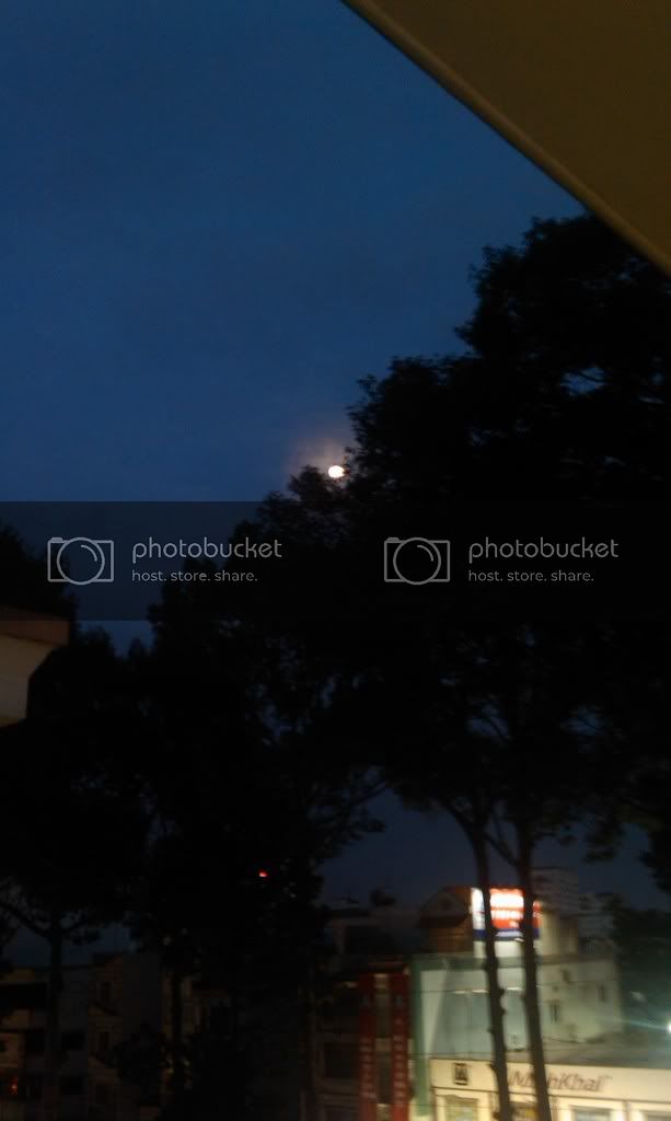 IMAG0565.jpg