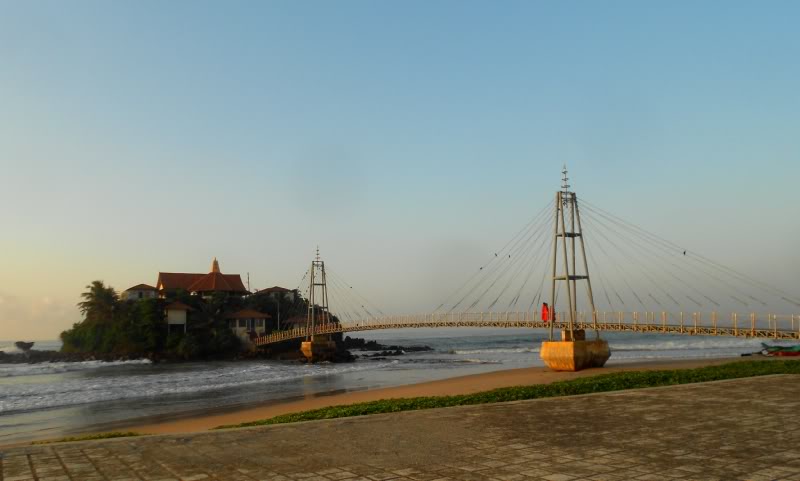 DSCN5678-1.jpg