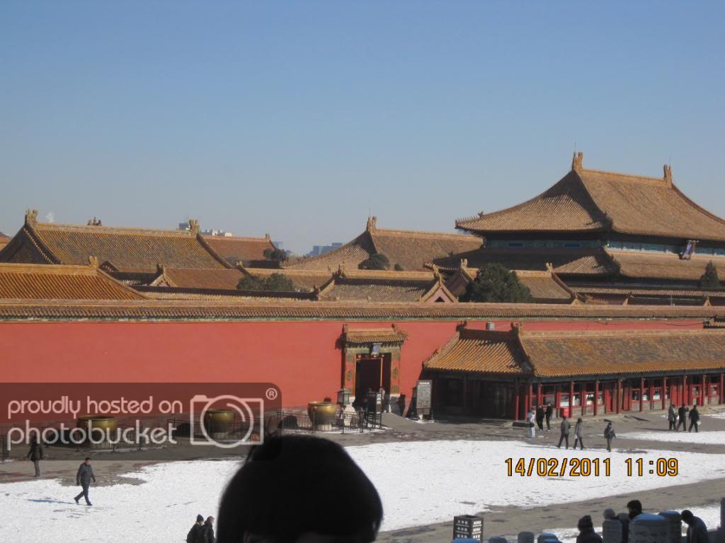 IMG_5924.jpg