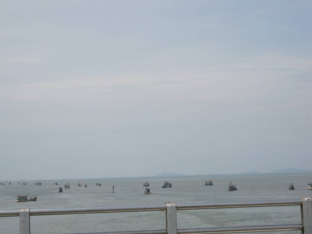 IMG_2104.jpg