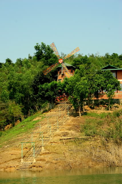 IMG_7986.jpg