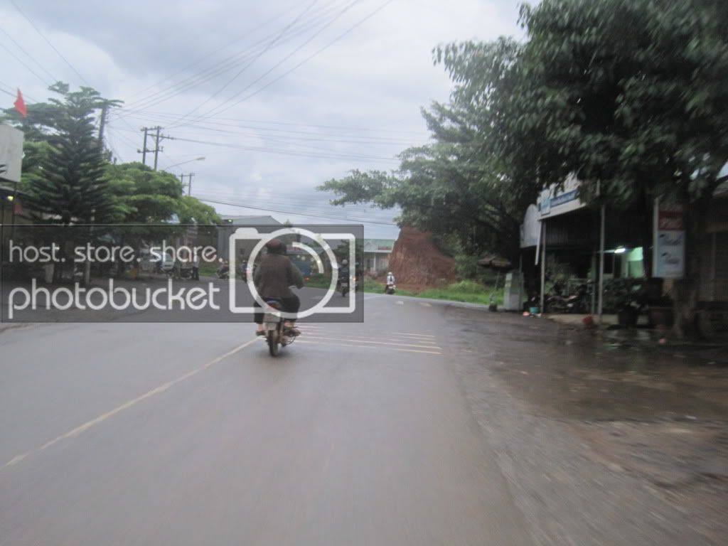QL55QL28261.jpg