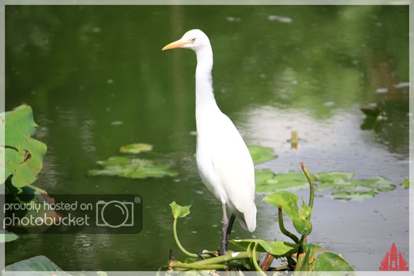 birdpark4.jpg