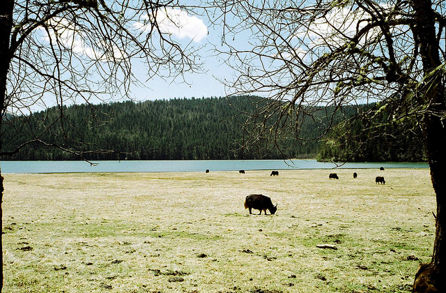 4729014003_6a65648b11_z.jpg