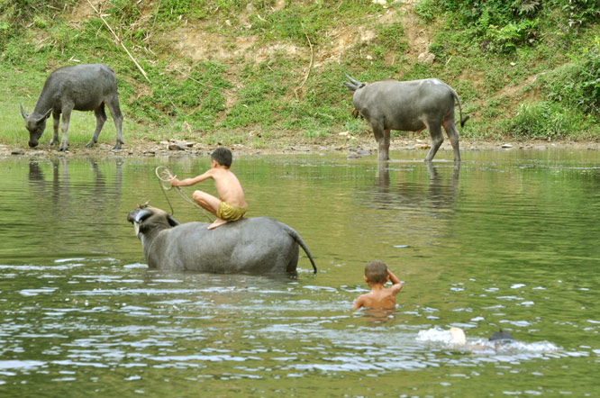 DSC_0111-1.jpg