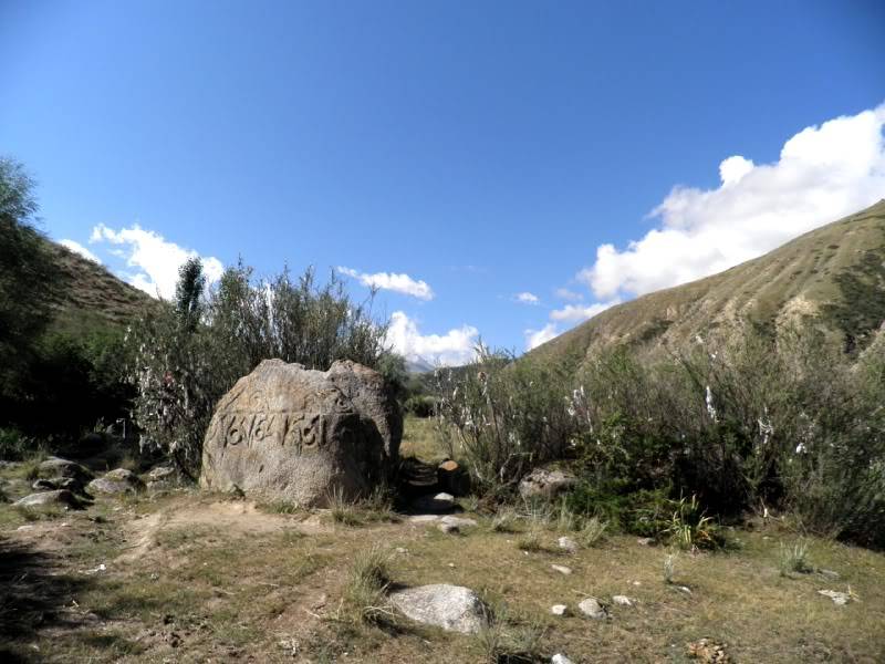 P7232802.jpg