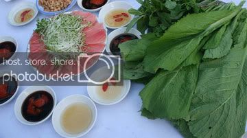 ca-ngu--truongduynhat110312.jpg