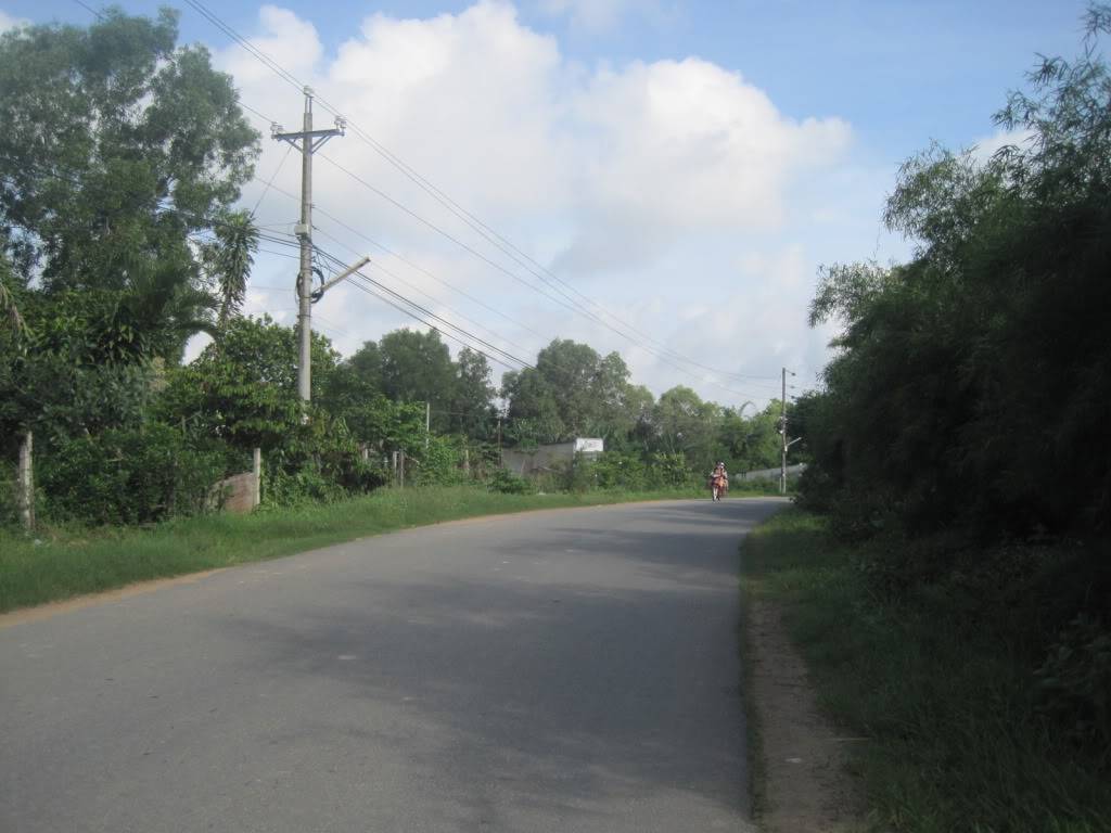 QL55QL28041.jpg