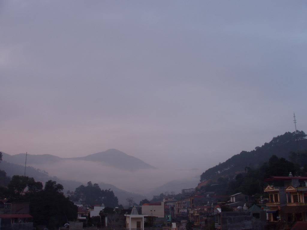 P1010061.jpg