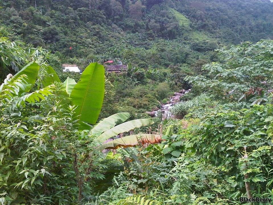 IMG-20120923-00170.jpg