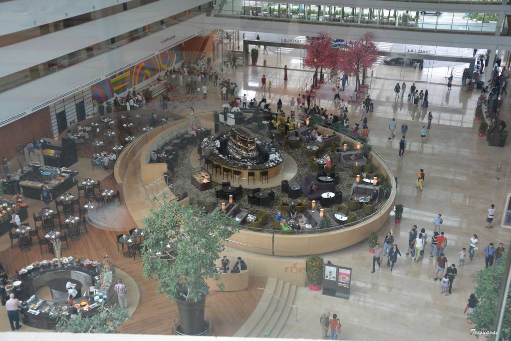 DSC_0336.jpg