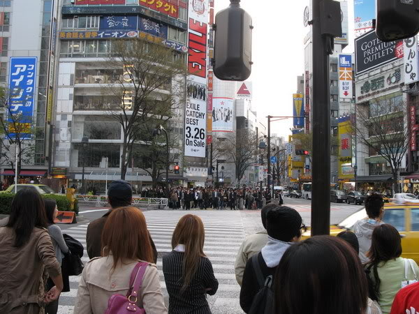 IMG_2190_resize.jpg