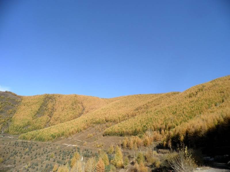 PA141418.jpg