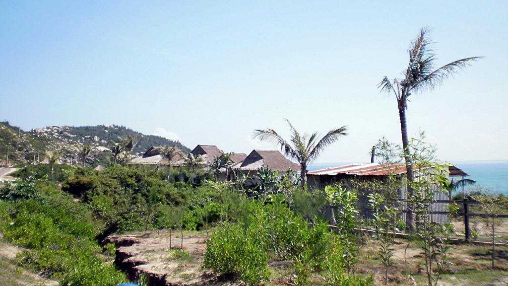 115.jpg