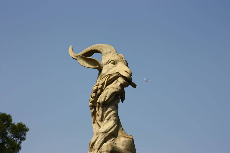 nguduong11.jpg