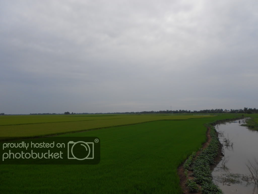 DSCN0695.jpg