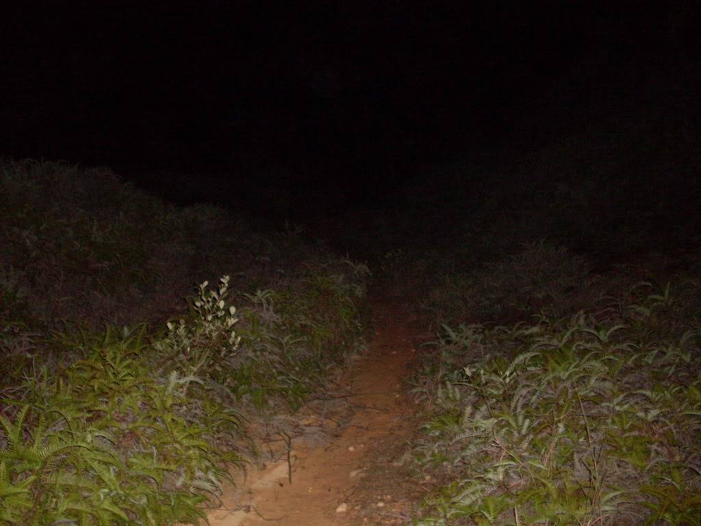 SDC10394.jpg