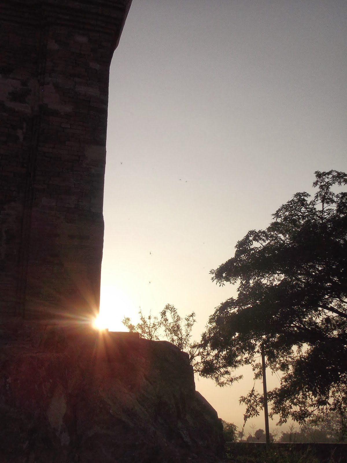 DSCF6040.jpg