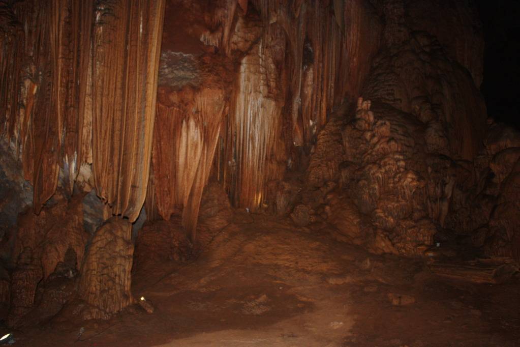 IMG_7635.jpg