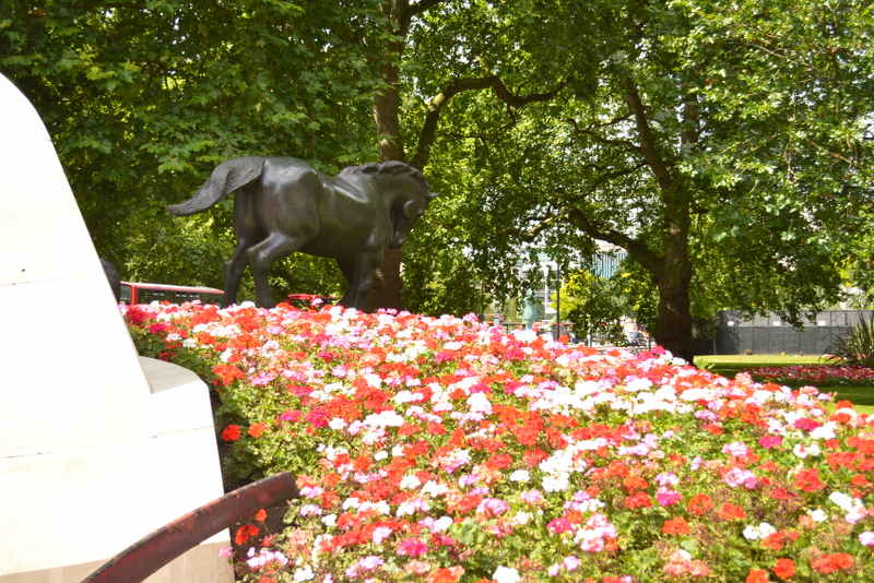 DSC_3487.jpg