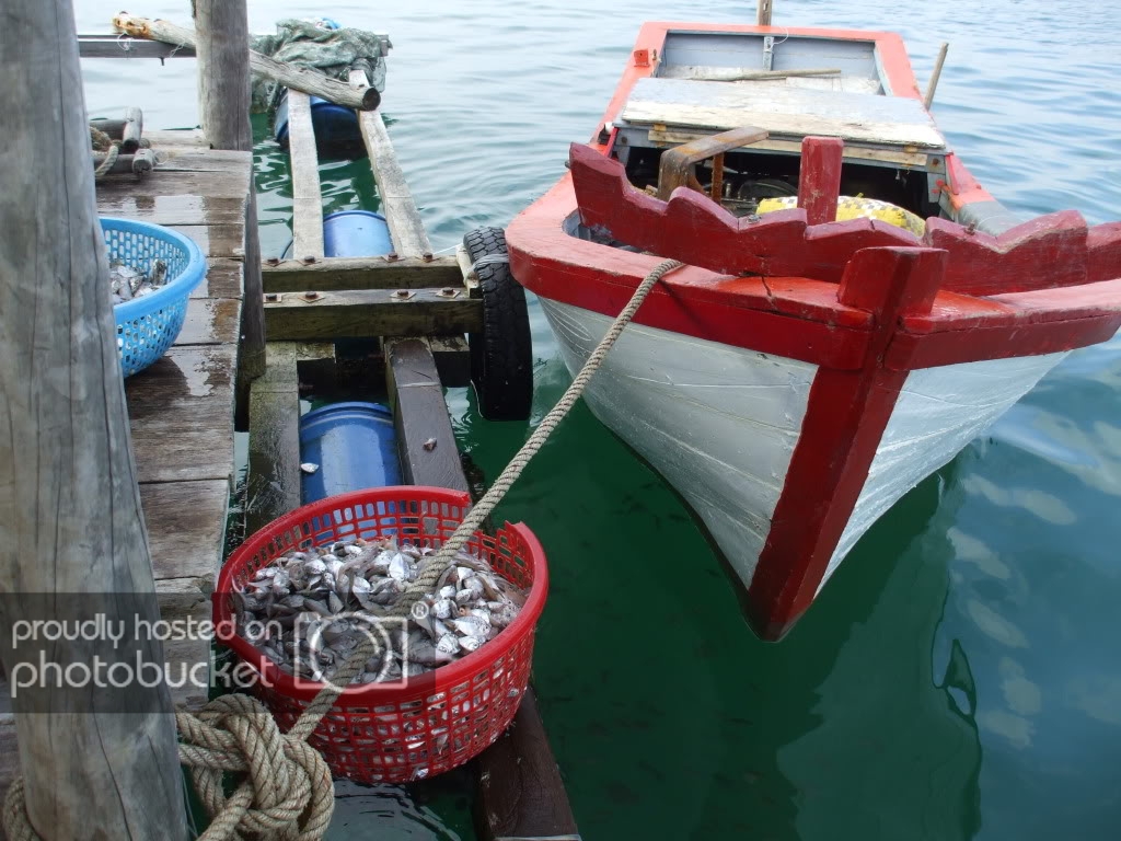 DSCF40991.jpg