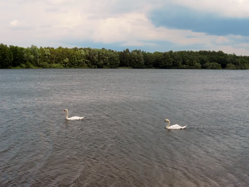 DSCN8502.jpg