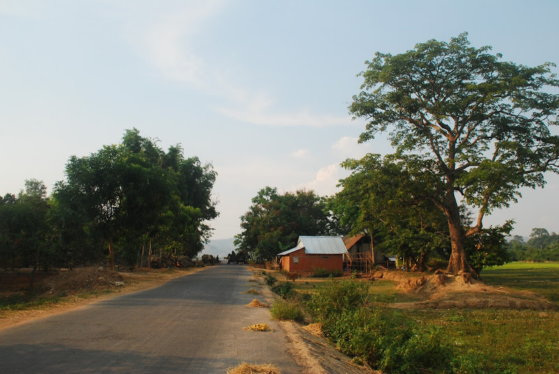 DSC_0520.JPG