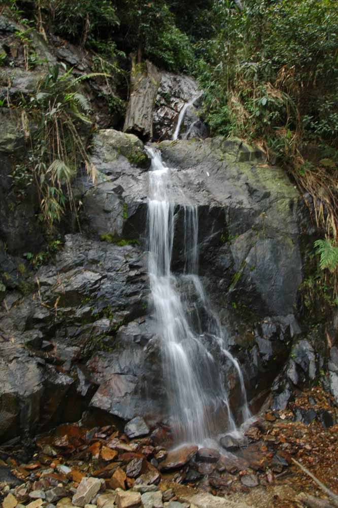 DSC_7346.jpg
