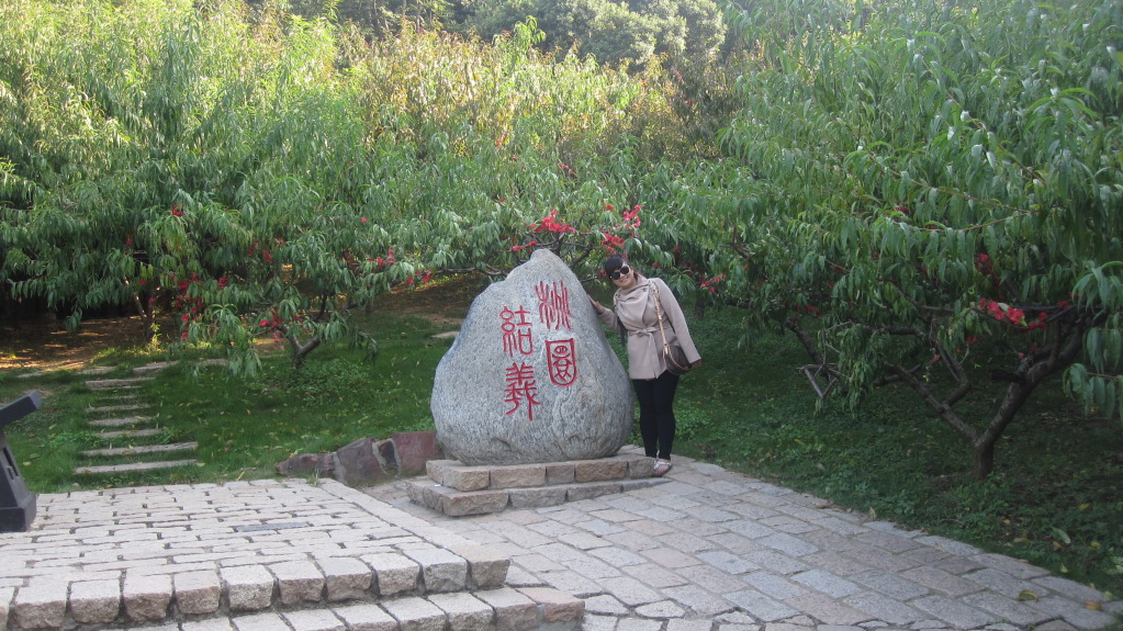 IMG_1581.jpg