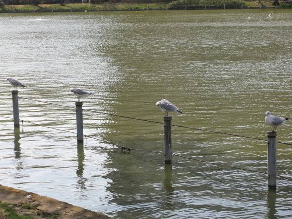 IMG_2476_resize.jpg