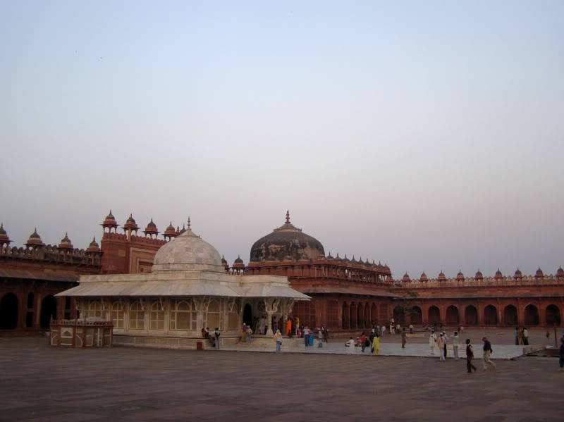 PB250024.jpg