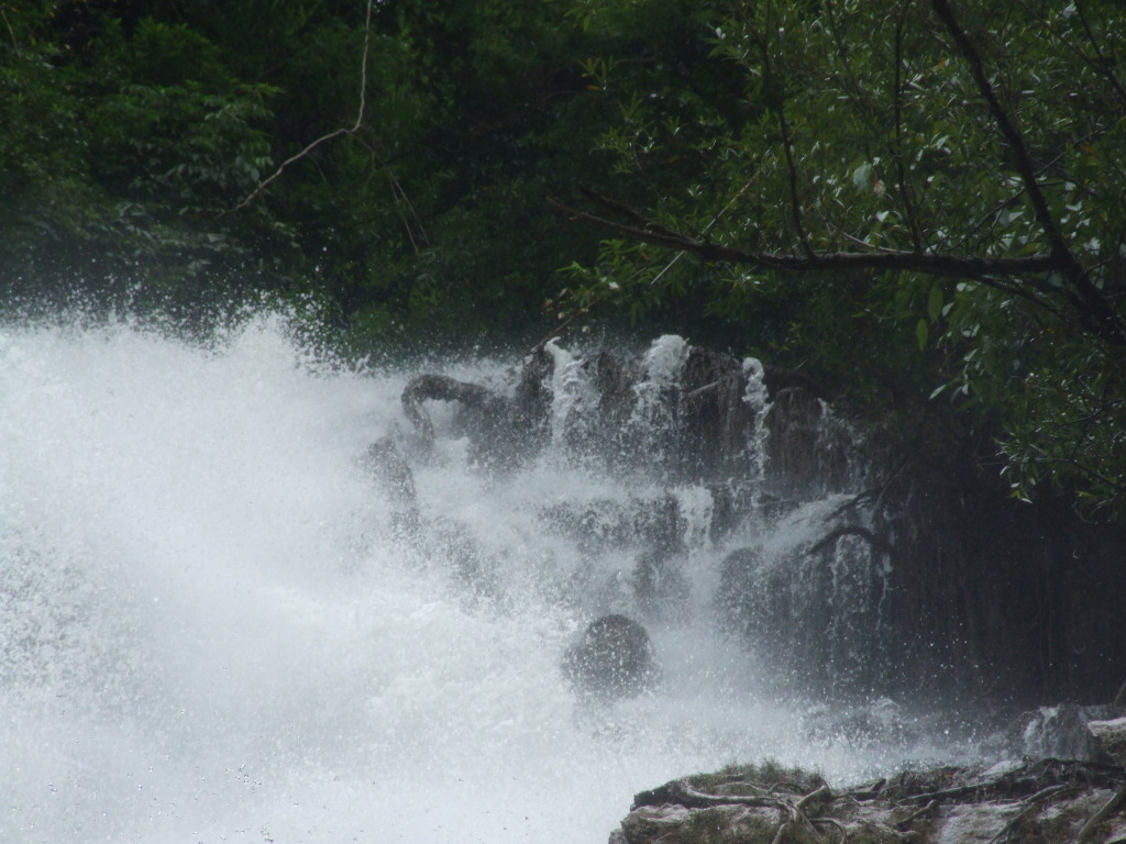 DSCF1682.jpg