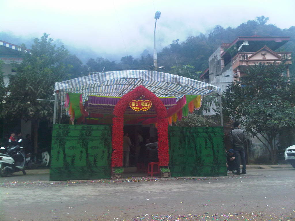 IMG-20120229-00183.jpg