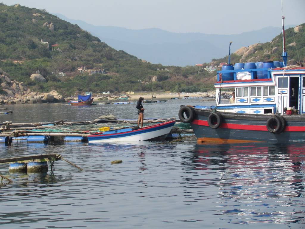 IMG_2394.jpg