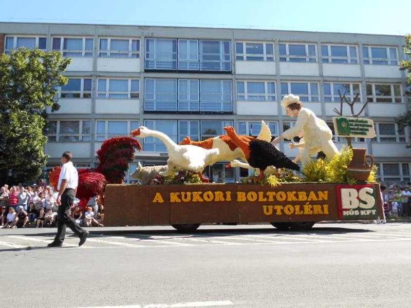 DSCN0385.jpg